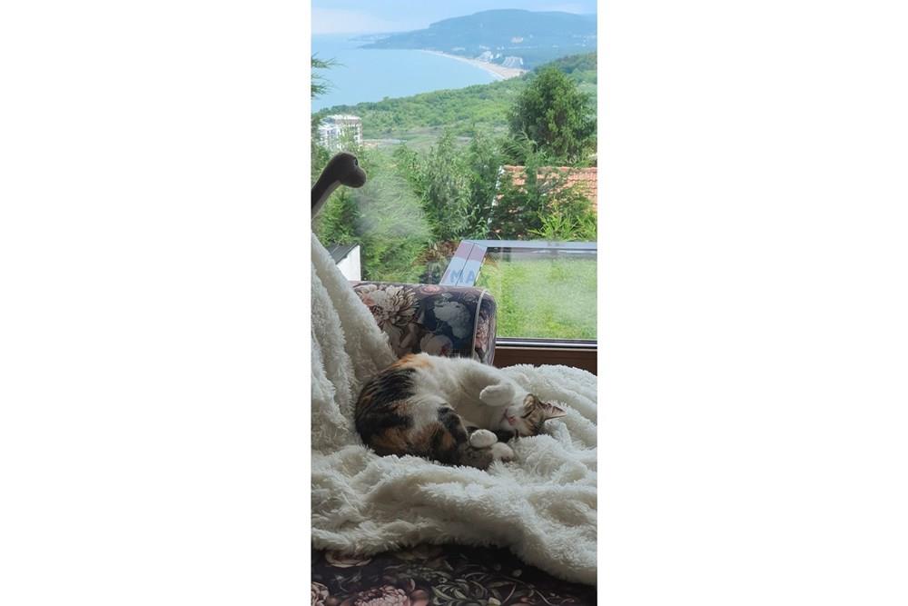 Вила - За продажба - гр. Балчик, Област Добрич, България - изглед 7.jpg - Вътрешен двор - 360321028-120