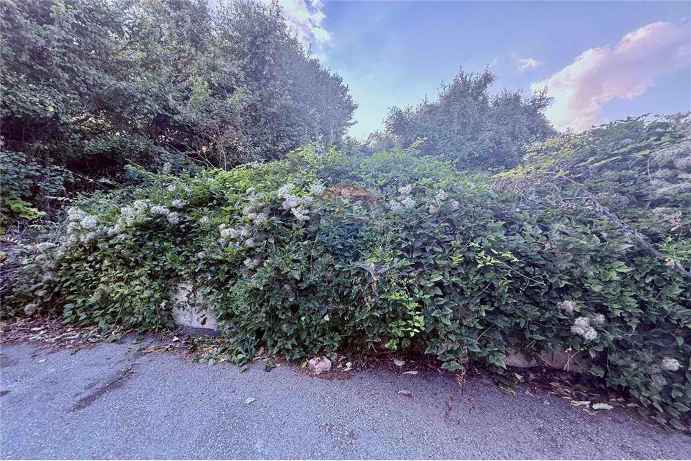 Поземлен имот - За продажба - гр. Балчик, Област Добрич, България - Достъп/ лице към улица - Друга - 360321025-233