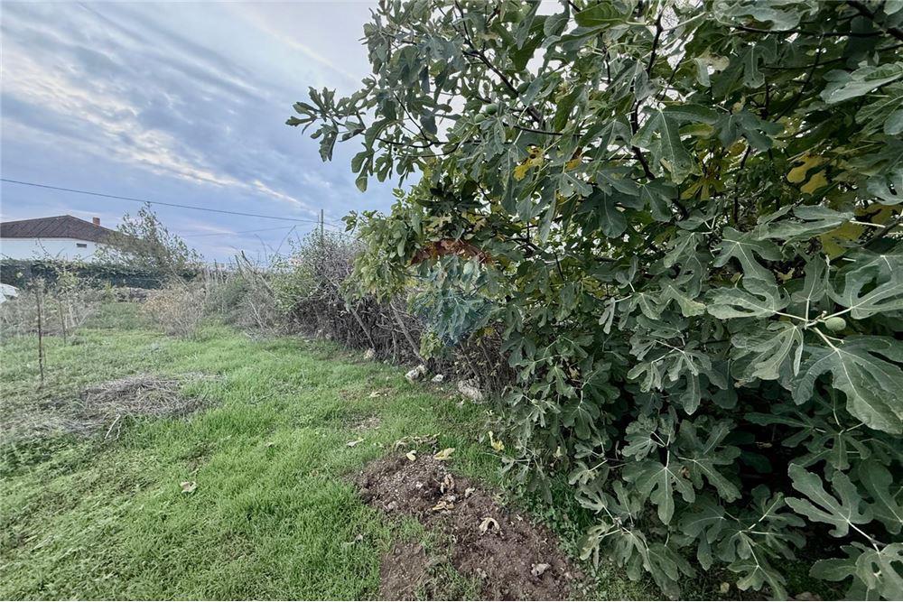 УПИ - За продажба - гр. Балчик, Област Добрич, България - Дворно място - Двор - 360321025-249