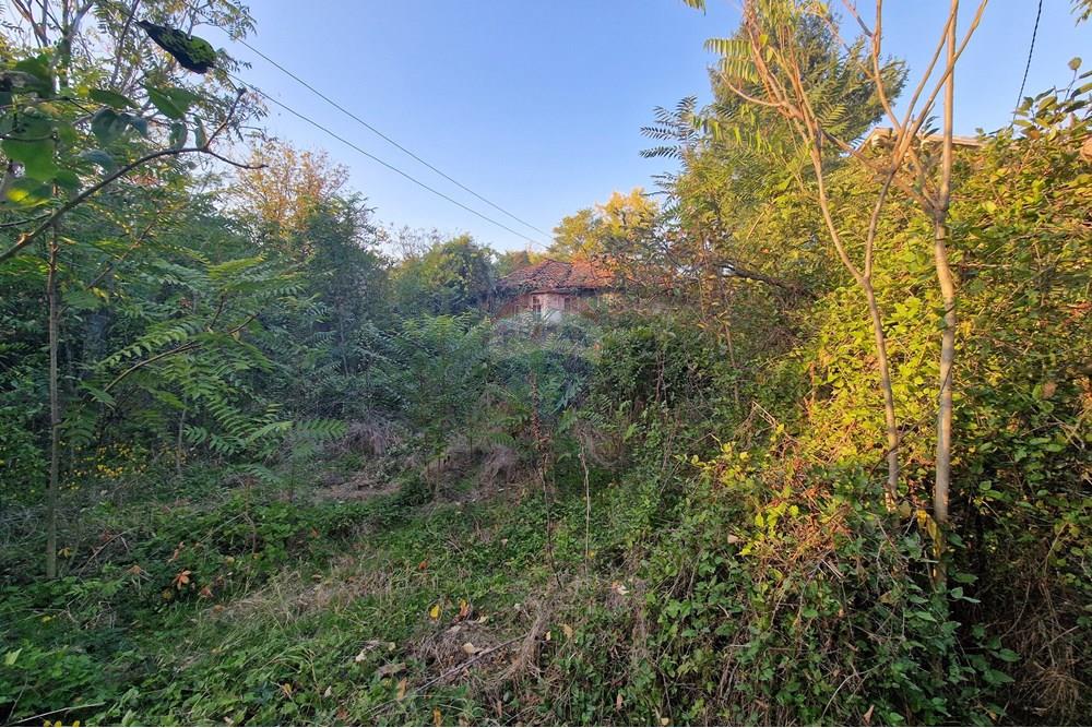 Kır Evi - Satılık - с. Писанец, Област Русе, България - 20251016_172951.jpg - 360451038-13