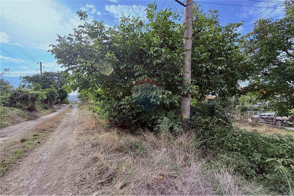 Селска къща - За продажба - с. Кранево, Област Добрич, България - Лице към улица/ Достъп към имота - Друга - 360321025-231