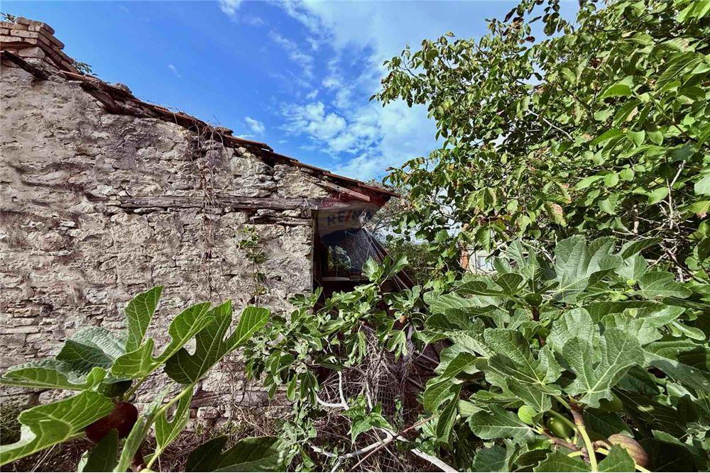 Селска къща - За продажба - с. Кранево, Област Добрич, България - Стара каменна еднофамилна къща на един етаж - Вътрешен двор - 360321025-231