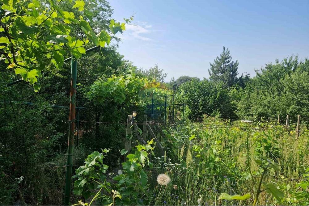 Development land - For Sale - Varna, Varna, Bulgaria - viber_image_2025-07-08_16-14-59-467.jpg - 360531003-46