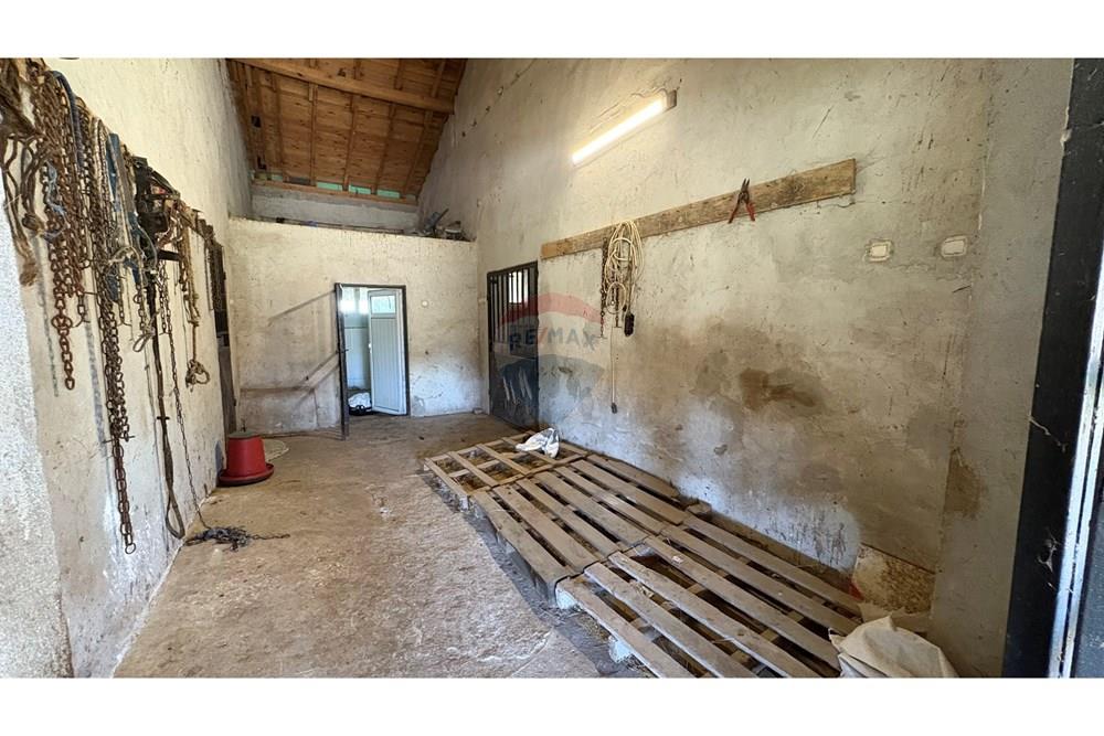 Земеделски имот - За продажба - с. Пробуда, Област Търговище, България - 1759472687348671.jpg - 360471029-9