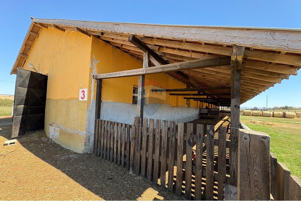 Земеделски имот - За продажба - с. Пробуда, Област Търговище, България - 1759472735747828.jpg - 360471029-9