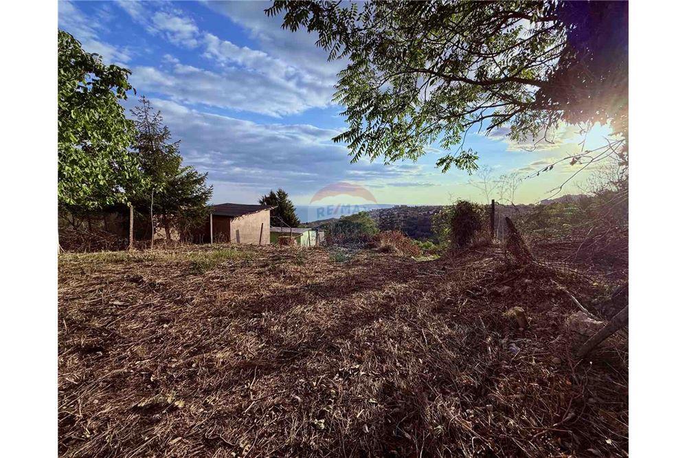 Поземлен имот - За продажба - гр. Балчик, Област Добрич, България - Двор - Двор - 360321025-237