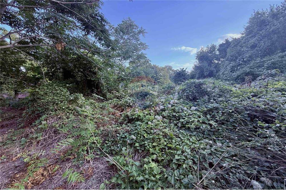 Поземлен имот - За продажба - гр. Балчик, Област Добрич, България - Дворно място - Двор - 360321025-233