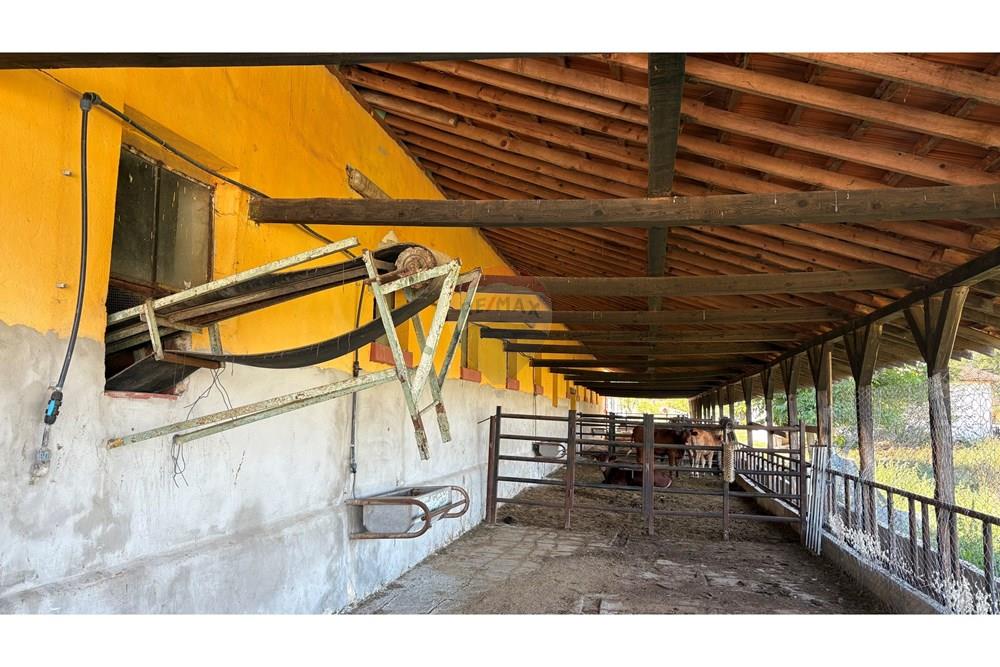 Земеделски имот - За продажба - с. Пробуда, Област Търговище, България - 1759472709162600.jpg - 360471029-9