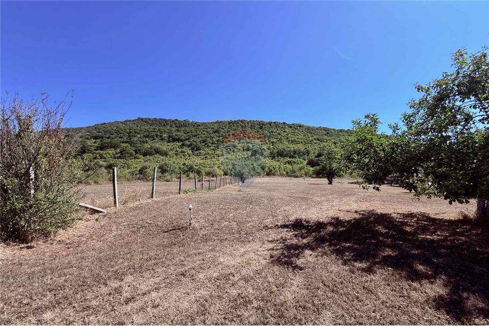 Имение - За продажба - с. Аспарухово, Област Варна, България - Дворно място - Двор - 360321025-228