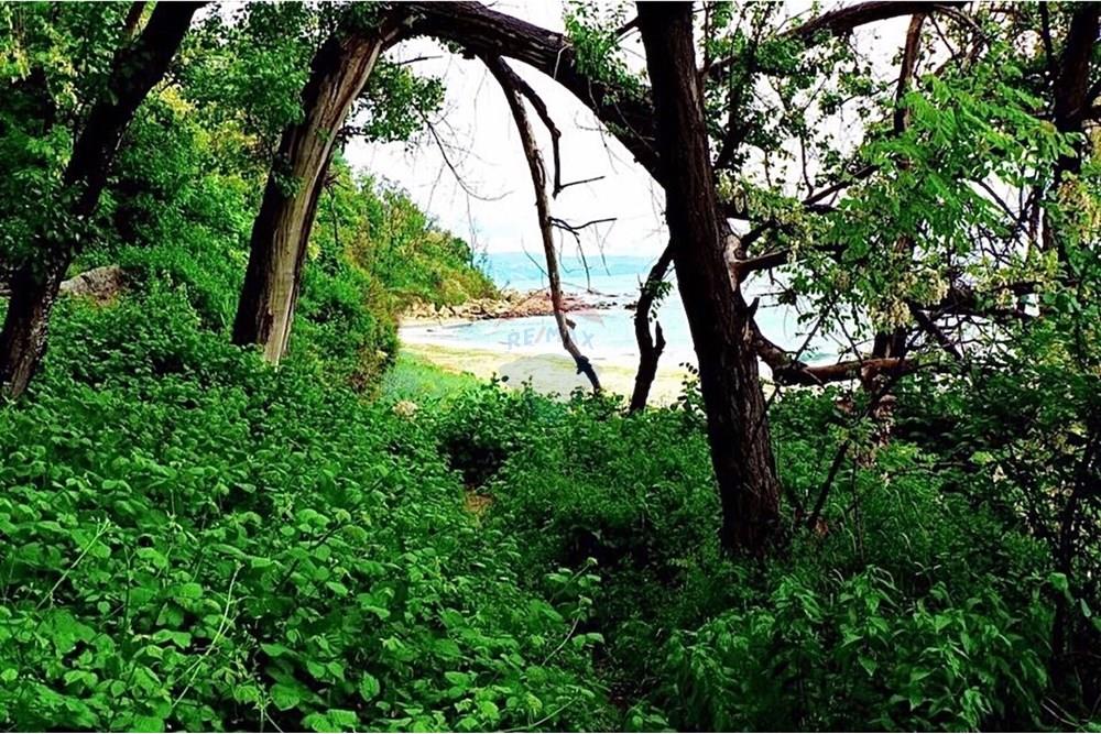 Селска къща - За продажба - с. Приселци, Област Варна, България - thumbnail_IMG_4382.jpg - 360481001-624