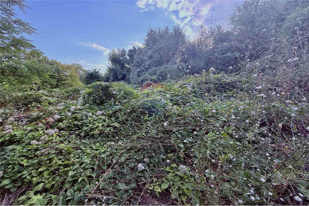 Поземлен имот - За продажба - гр. Балчик, Област Добрич, България - Дворно място - Двор - 360321025-233