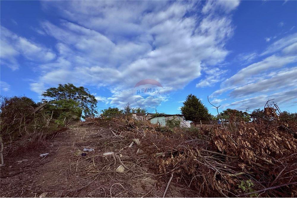 Поземлен имот - За продажба - гр. Балчик, Област Добрич, България - Двор - Двор - 360321025-237