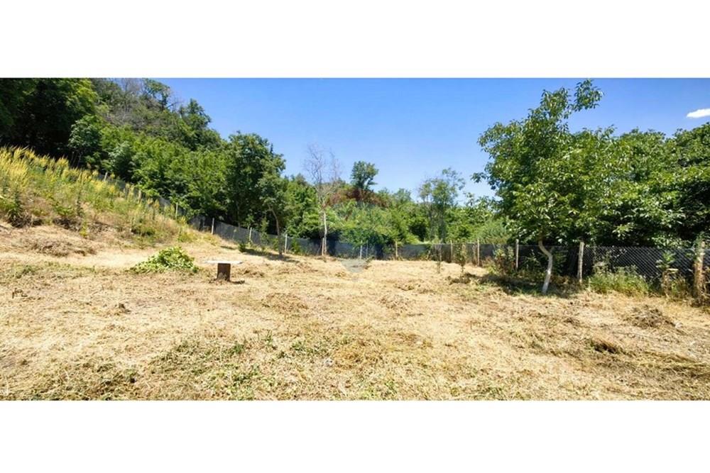 УПИ - За продажба - к.к. Златни пясъци, Област Варна, България - viber_изображение_2025-07-01_13-10-02-529.jpg - Двор - 360511010-72