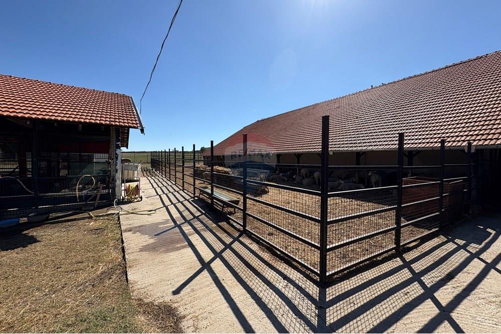 Земеделски имот - За продажба - с. Пробуда, Област Търговище, България - 1759472745198945.jpg - 360471029-9