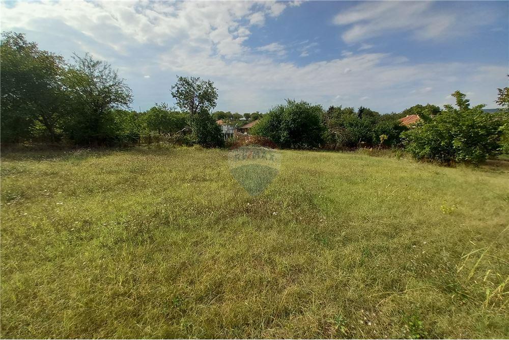 Поземлен имот - За продажба - с. Гецово, Област Разград, България - 4 - 360491001-19