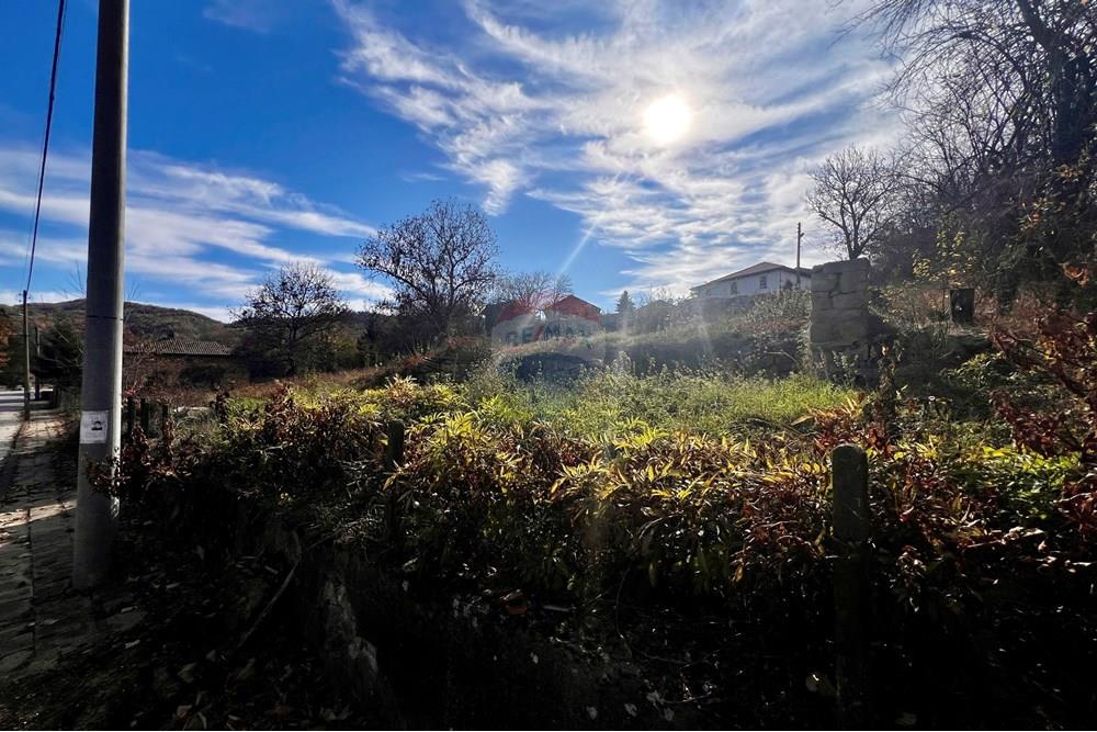 Селска къща - За продажба - с. Костел, Област Велико Търново, България - 20241104_105858182_iOS.jpg - Двор - 360431001-617