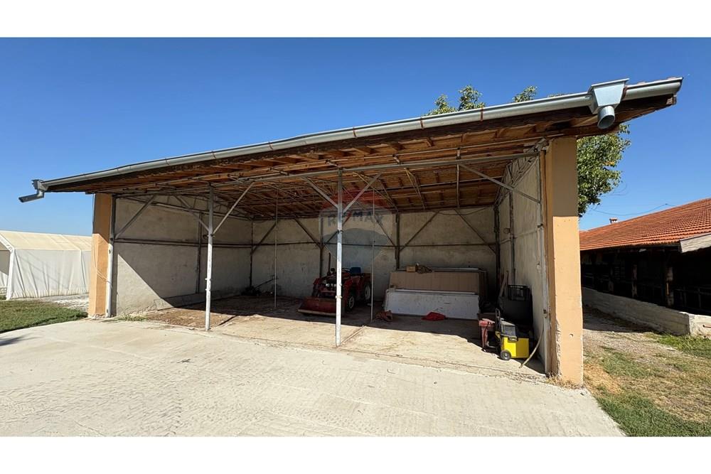 Земеделски имот - За продажба - с. Пробуда, Област Търговище, България - 1759472662804698.jpg - 360471029-9