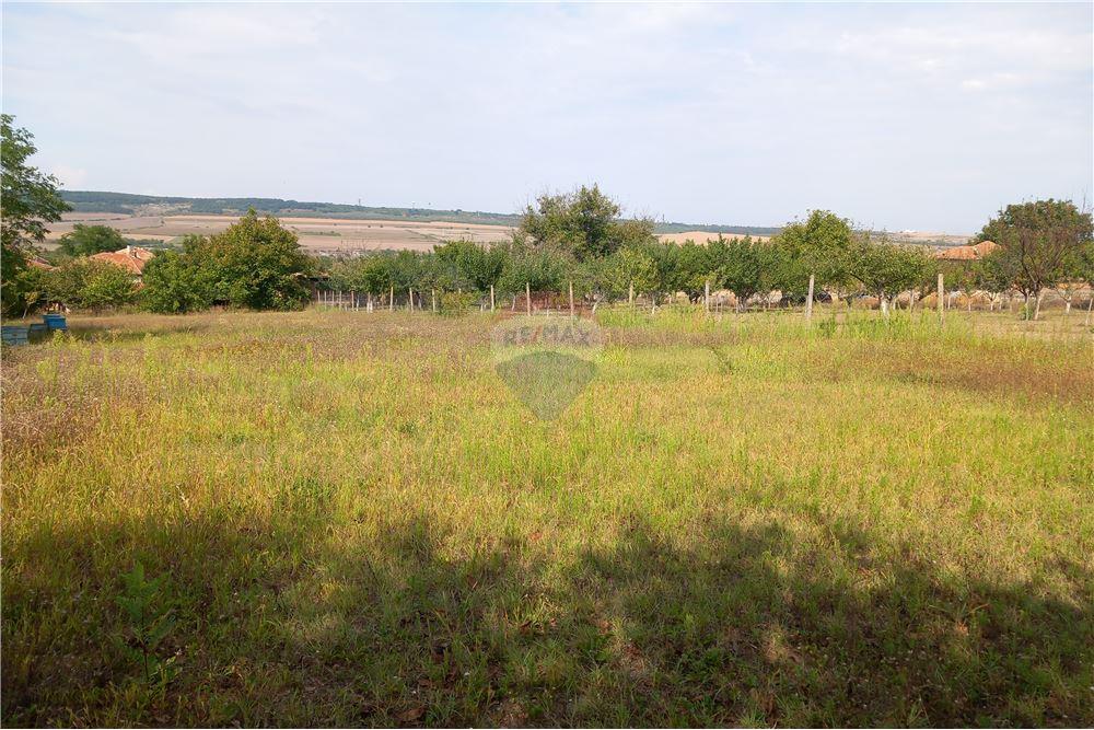 Поземлен имот - За продажба - с. Гецово, Област Разград, България - 1 - 360491001-19