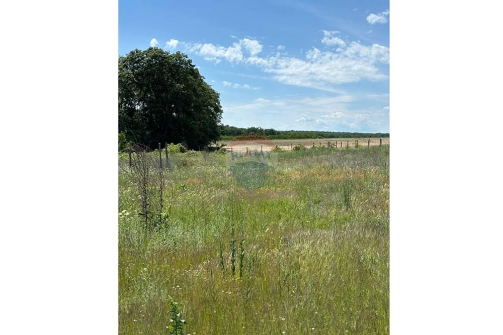 УПИ с решение за строеж - За продажба - с. Приселци, Област Варна, България - a782bbf6-fc82-404a-9051-6ae814c38f11.jpg - 360531007-13