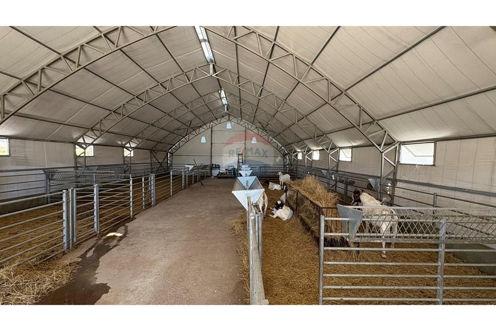 Земеделски имот - За продажба - с. Пробуда, Област Търговище, България - 1759472716769106.jpg - 360471029-9