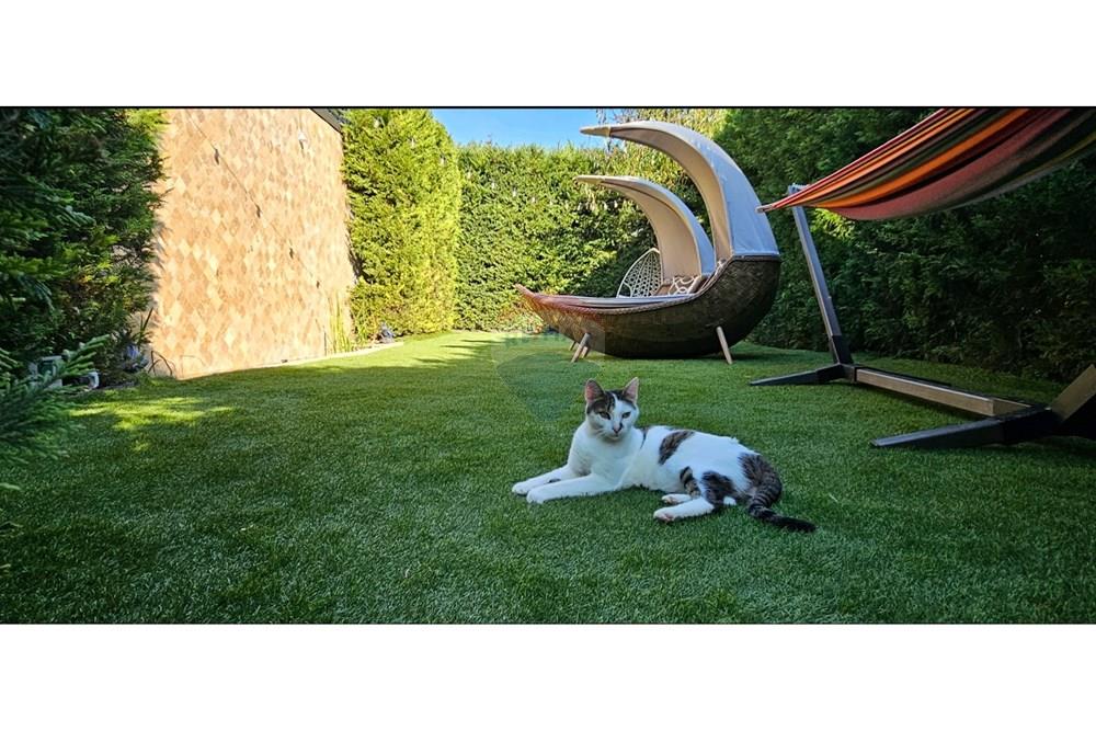 Вила - За продажба - гр. Балчик, Област Добрич, България - двор 3.jpg - Вътрешен двор - 360321028-121