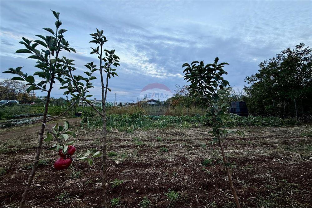 УПИ - За продажба - гр. Балчик, Област Добрич, България - Дворно място - Двор - 360321025-249