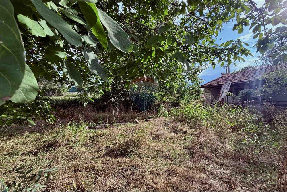 Селска къща - За продажба - с. Кранево, Област Добрич, България - Стара каменна еднофамилна къща на един етаж - Вътрешен двор - 360321025-231