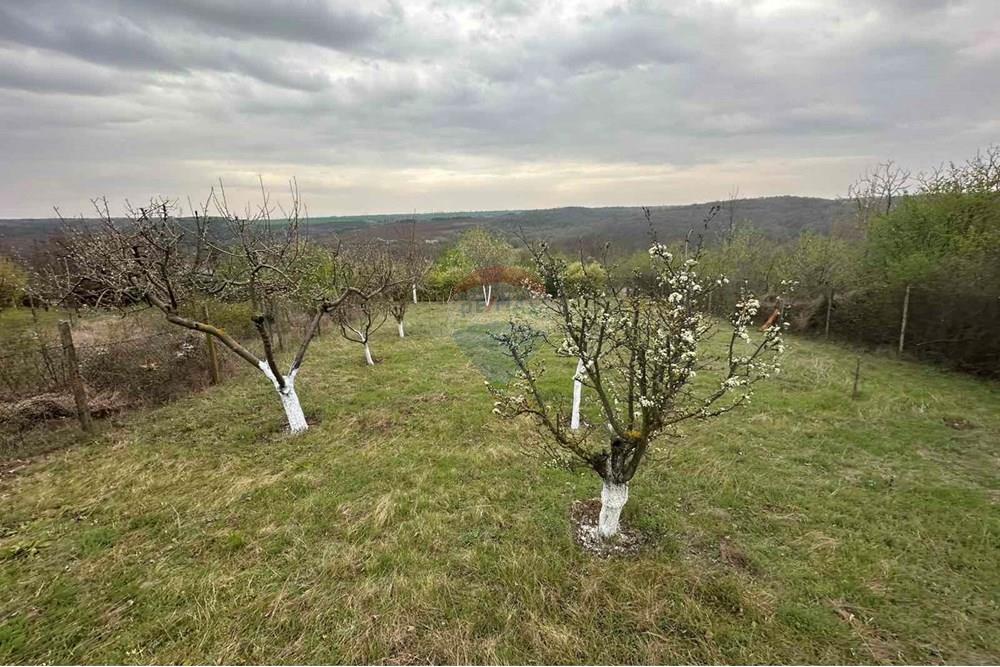 Поземлен имот - За продажба - с. Николово, Област Русе, България - viber_изображение_2025-03-28_11-13-38-164.jpg - 360451001-672