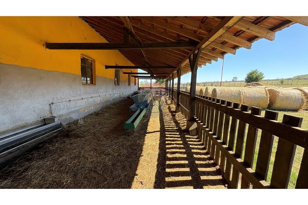 Земеделски имот - За продажба - с. Пробуда, Област Търговище, България - 1759472739532315.jpg - 360471029-9