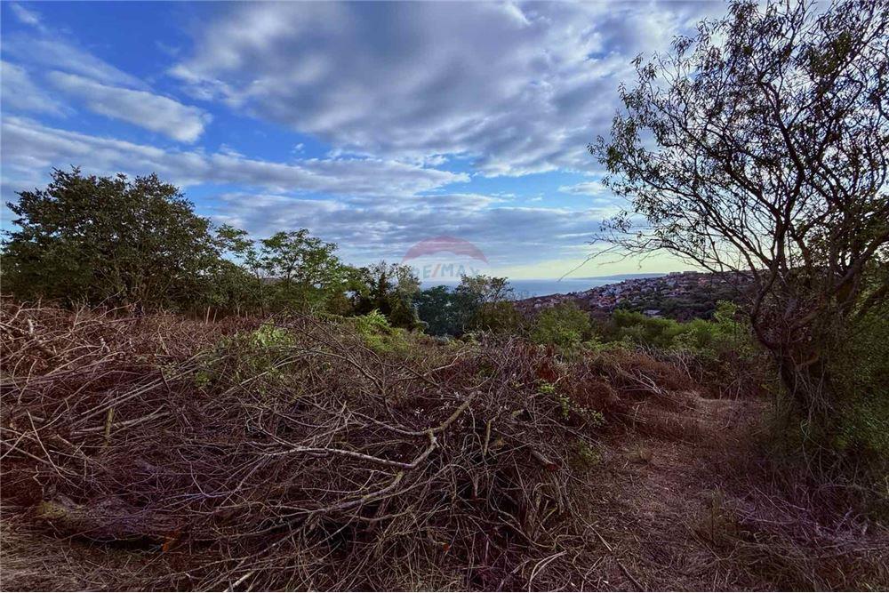 Поземлен имот - За продажба - гр. Балчик, Област Добрич, България - Двор - Двор - 360321025-237