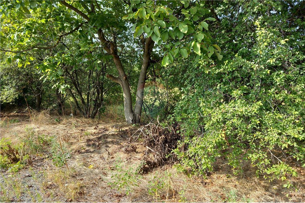 Поземлен имот - За продажба - с. Гецово, Област Разград, България - 5 - 360491001-19