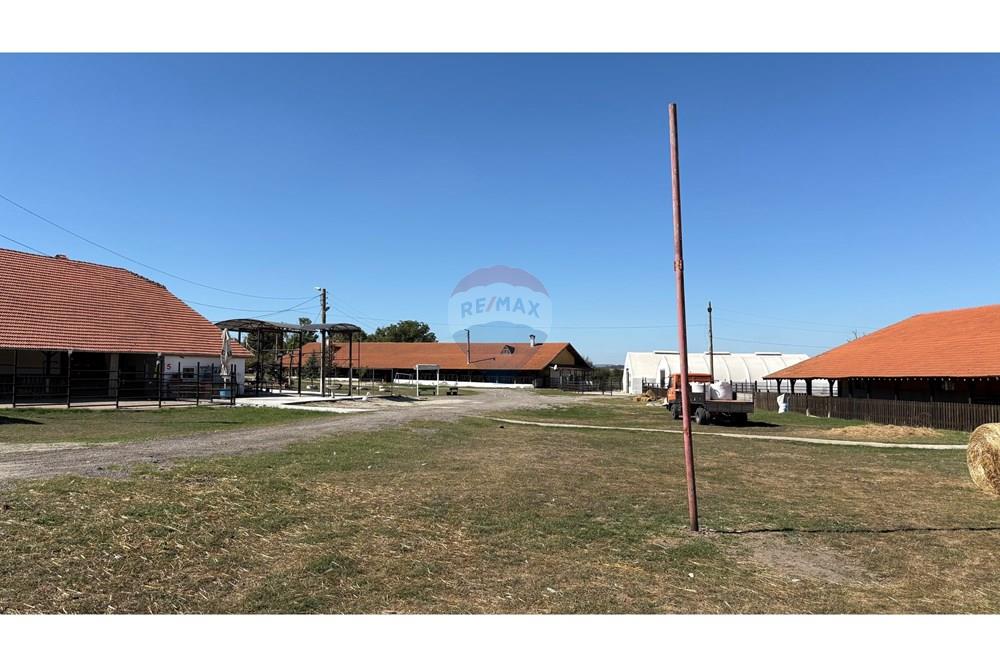 Земеделски имот - За продажба - с. Пробуда, Област Търговище, България - 1759472742991333.jpg - 360471029-9