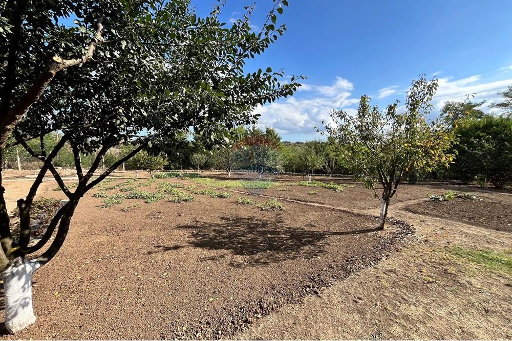 Селска къща - За продажба - с. Засмяно, Област Варна, България - IMG_0873.jpeg - 360391067-9