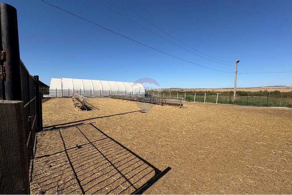 Земеделски имот - За продажба - с. Пробуда, Област Търговище, България - 17594727369168.jpg - 360471029-9