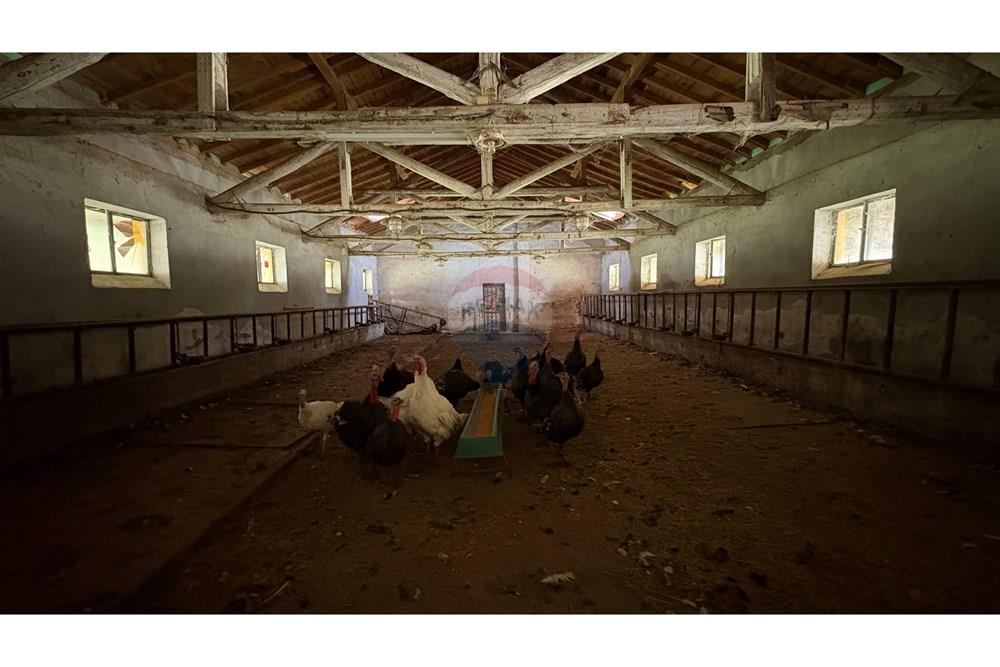 Земеделски имот - За продажба - с. Пробуда, Област Търговище, България - 17594726902140.jpg - 360471029-9