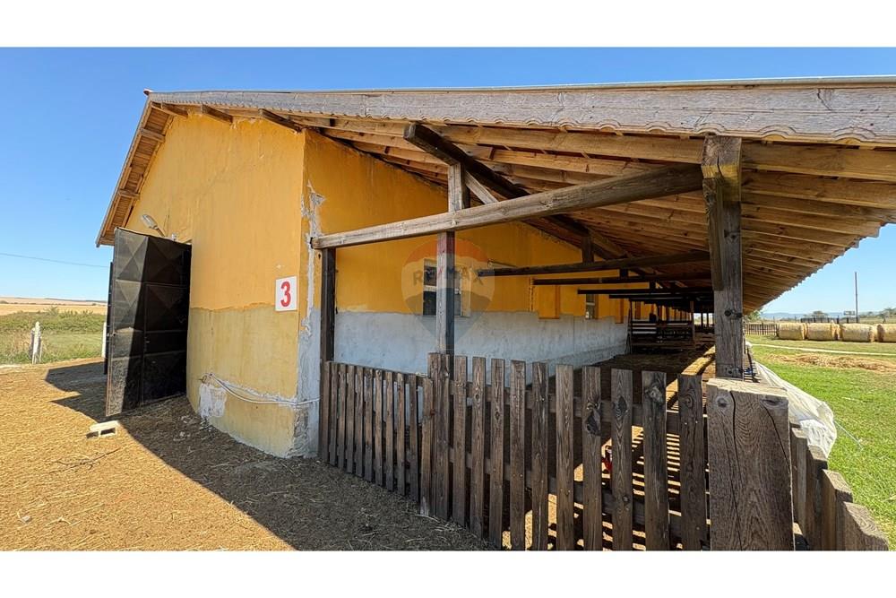 Земеделски имот - За продажба - с. Пробуда, Област Търговище, България - 1759472735427309.jpg - 360471029-9