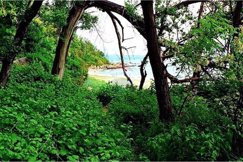 Селска къща - За продажба - с. Приселци, Област Варна, България - thumbnail_IMG_3359.jpg - 360481001-623