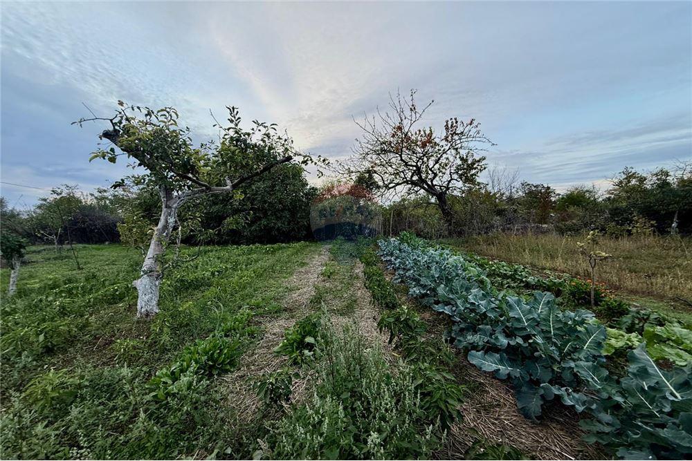 УПИ - За продажба - гр. Балчик, Област Добрич, България - Дворно място - Двор - 360321025-249