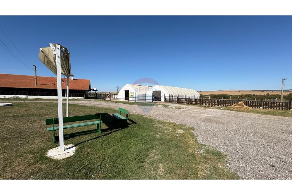 Земеделски имот - За продажба - с. Пробуда, Област Търговище, България - 1759472735223098.jpg - 360471029-9