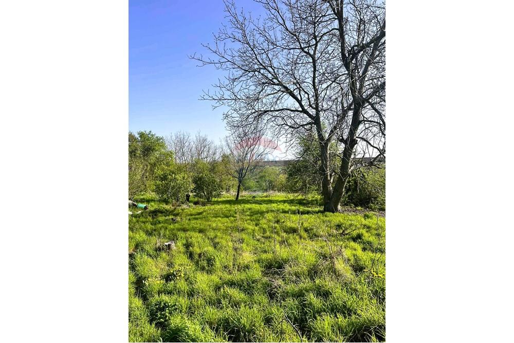 Селска къща - За продажба - с. Миладиновци, Област Добрич, България - 6.jpeg - 360301012-129