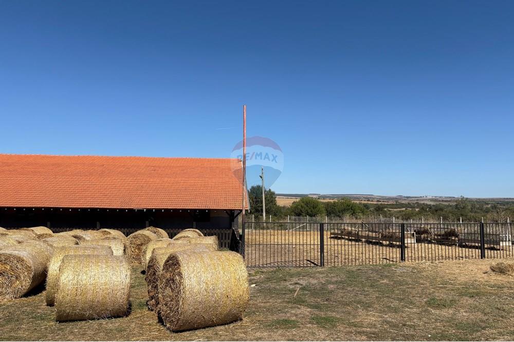 Земеделски имот - За продажба - с. Пробуда, Област Търговище, България - 1759472743618343.jpg - 360471029-9