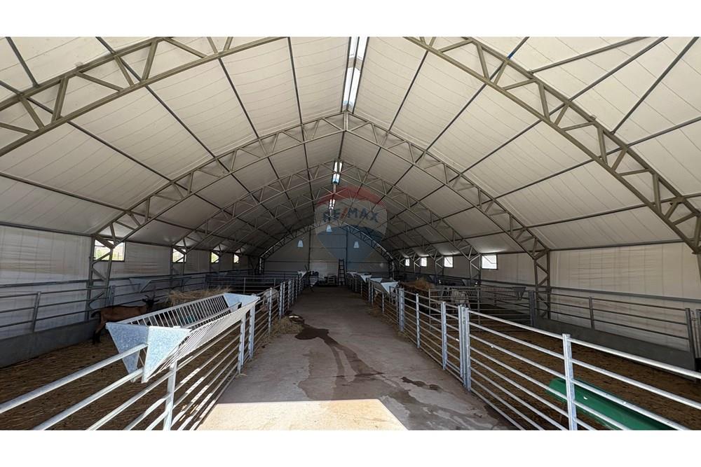 Земеделски имот - За продажба - с. Пробуда, Област Търговище, България - 175947271342274.jpg - 360471029-9