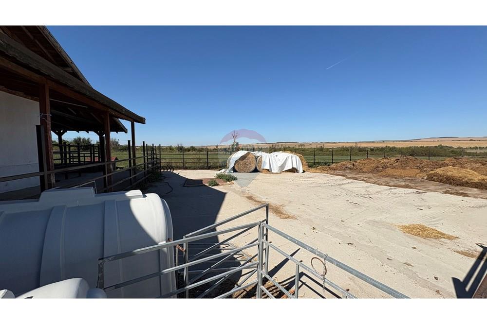 Земеделски имот - За продажба - с. Пробуда, Област Търговище, България - 175947271226792.jpg - 360471029-9