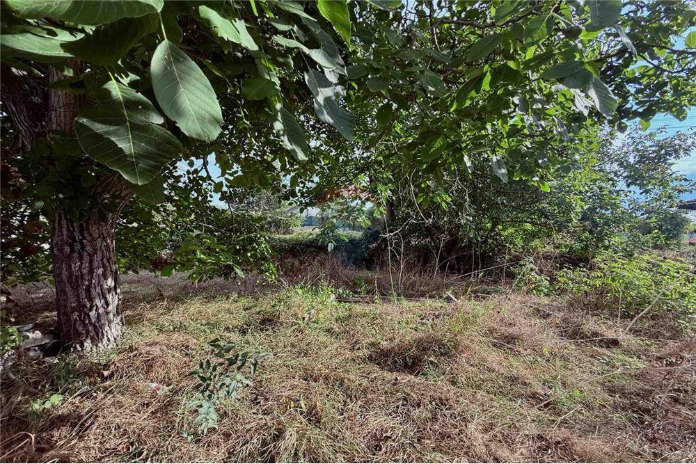 Селска къща - За продажба - с. Кранево, Област Добрич, България - Дворно място - Двор - 360321025-231