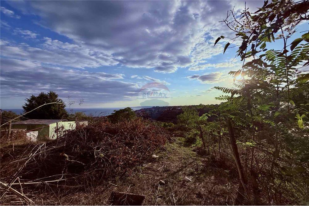 Поземлен имот - За продажба - гр. Балчик, Област Добрич, България - Двор - Двор - 360321025-237