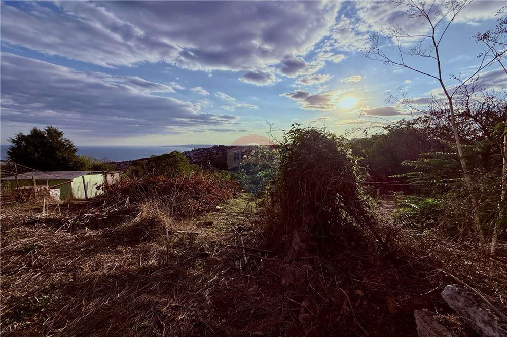Поземлен имот - За продажба - гр. Балчик, Област Добрич, България - Двор - Двор - 360321025-237