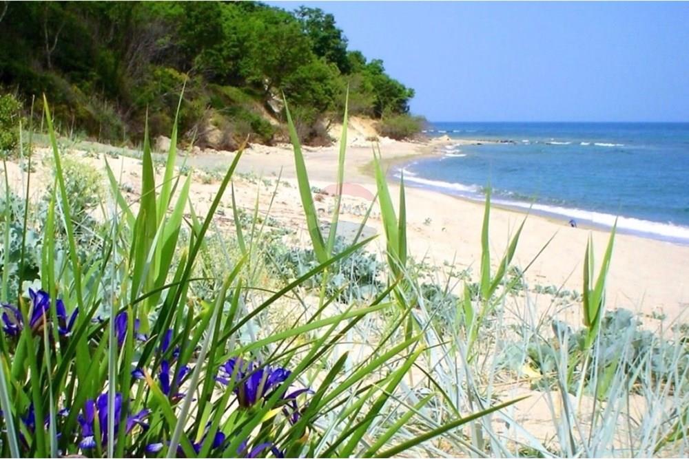 Селска къща - За продажба - с. Приселци, Област Варна, България - thumbnail_IMG_4381.jpg - 360481001-624