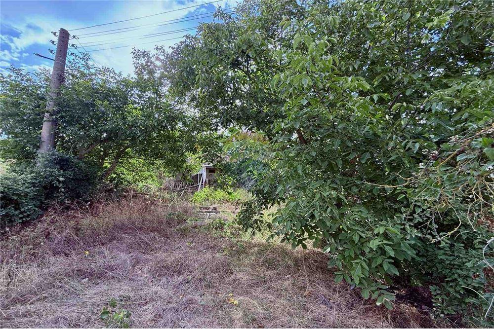 Селска къща - За продажба - с. Кранево, Област Добрич, България - Дворно място - Двор - 360321025-231