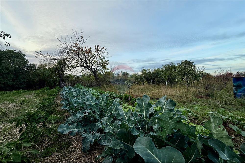 УПИ - За продажба - гр. Балчик, Област Добрич, България - Дворно място - Двор - 360321025-249