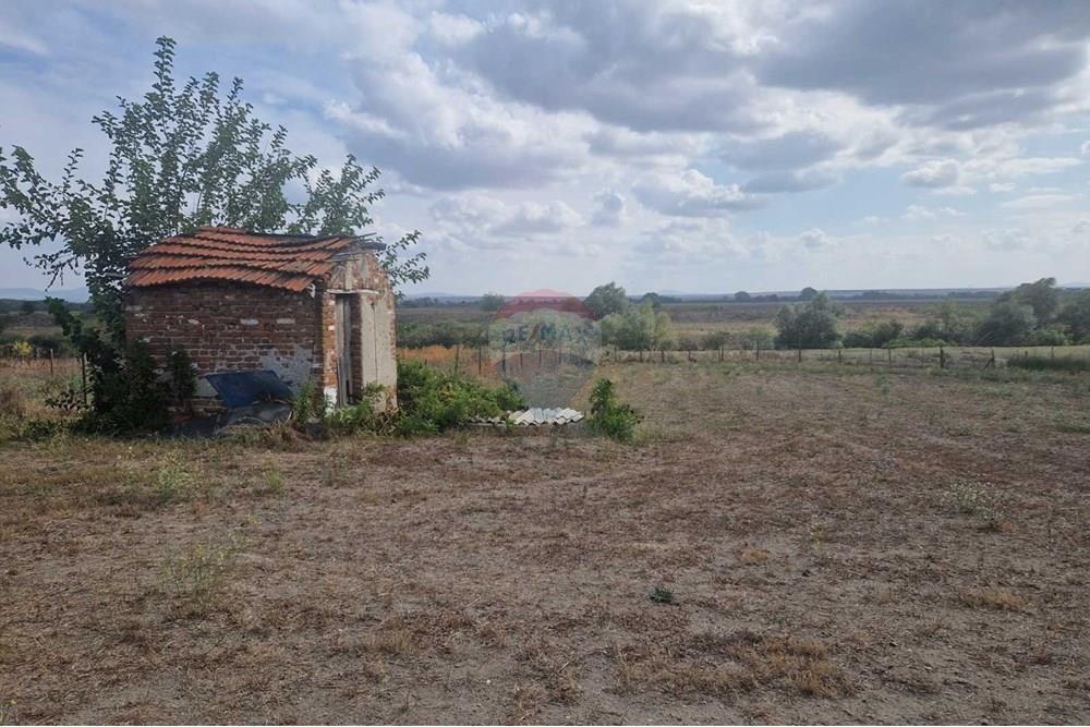 Farm - For Sale - Tenevo, Yambol, Bulgaria - viber_image_2025-01-02_19-48-23-318.jpg - 360531003-47